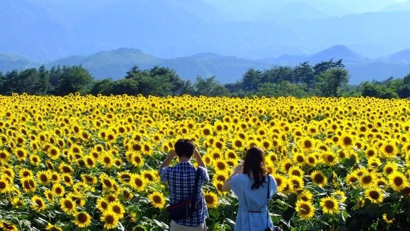 Top 10 Điểm Du Lịch Nổi Tiếng Tại Nghệ An